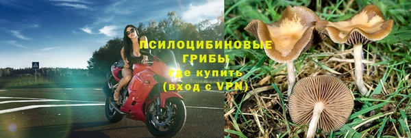 МДПВ Белокуриха
