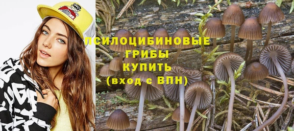 амф Беломорск