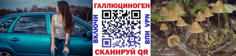 Галлюциногенные грибы MAGIC MUSHROOMS Малоярославец