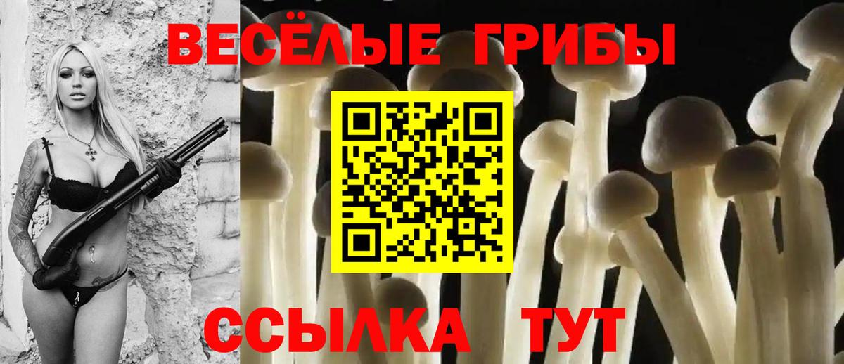 Галлюциногенные грибы мицелий  цена   Малоярославец  Вход с VPN 