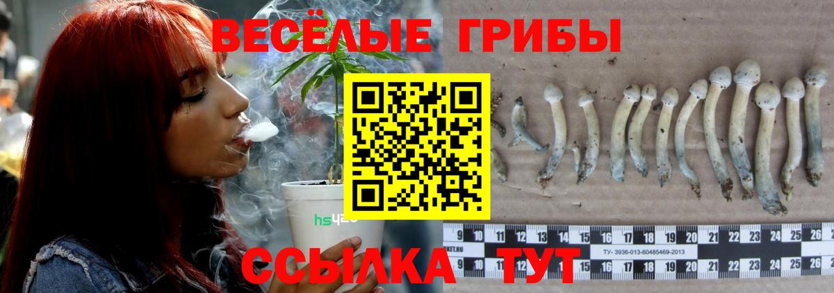 Галлюциногенные грибы MAGIC MUSHROOMS Малоярославец
